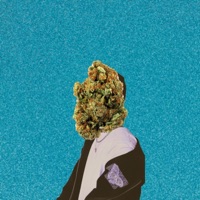 I'M High Right Now - Single - 2hi