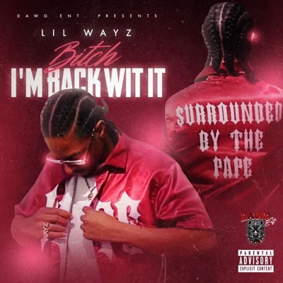 Bitch I’m Back Wit It