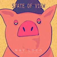 State of View (feat. Jack Wolff & Ty Healy) - Single - Nay Loco