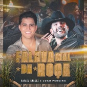 Falava Mal da Roça artwork