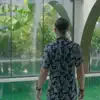 DU DU