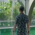 DU DU