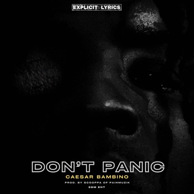 Dont Panic - Single
