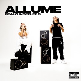 DU BOULOT Realo & DEELEE S