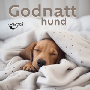 Godnatt hund: Terapi för stressad och sömnig hund
