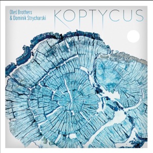 Koptycus