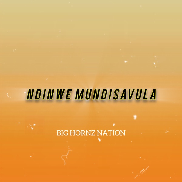 Ndinwe Mundisavula