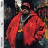 TERRIE KYND - Big Fat