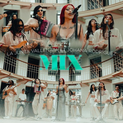 MIX VALLENATO (feat. johana rodriguez) - Single