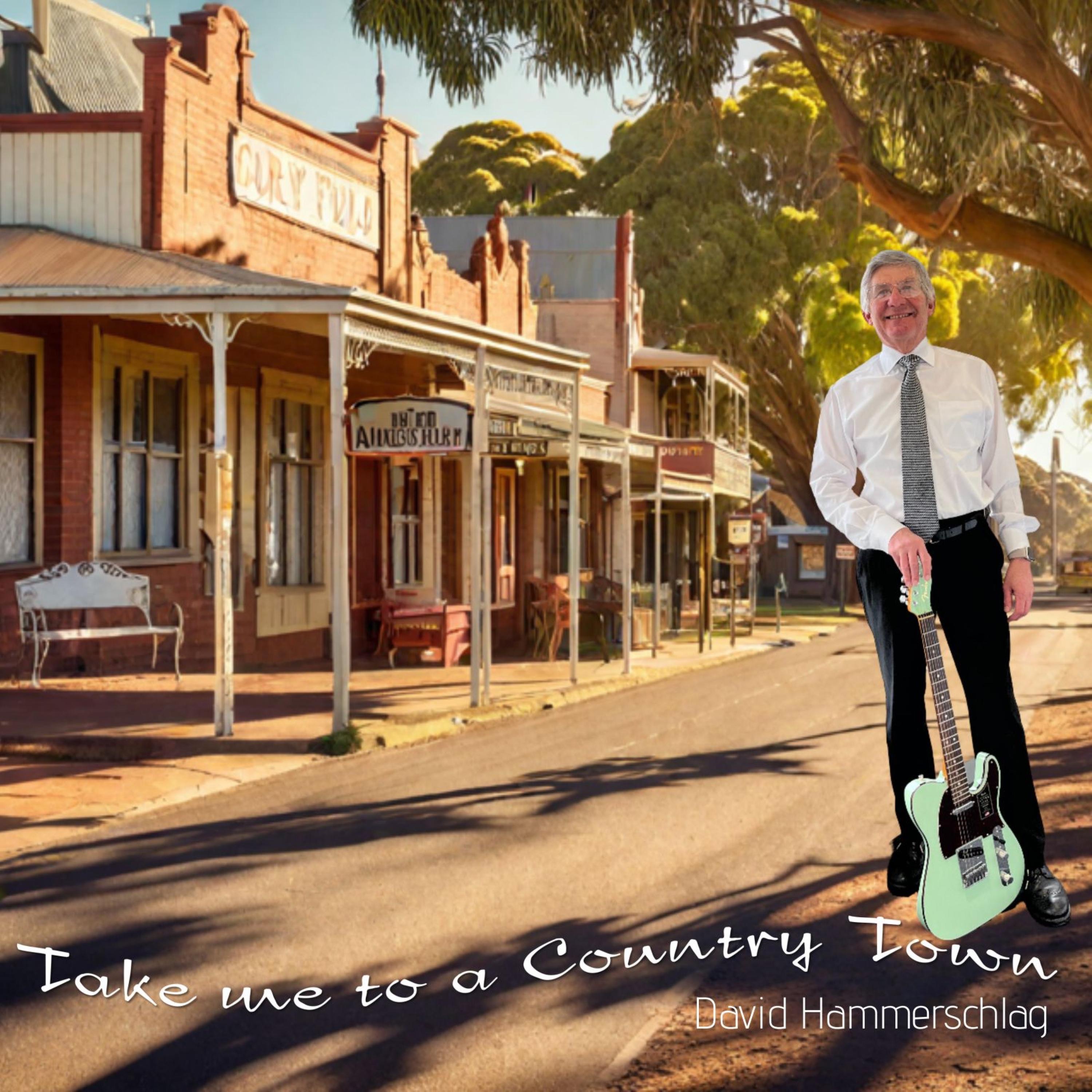 David Hammerschlag - Take Me To A Country Town