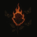 Innocent - Single