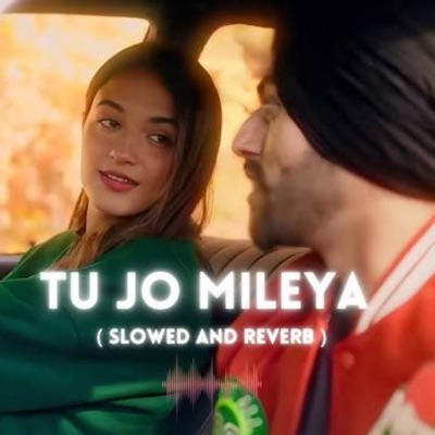 Mohammad Shahin islam - Tu Jo Mileya (Slowed and Reverb)