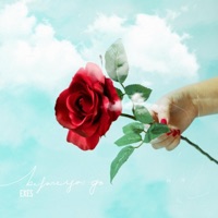 Before You Go - EXES