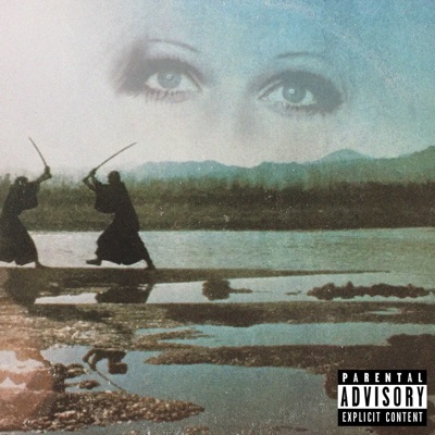 FAVOR DON'T COME IN PAIRS