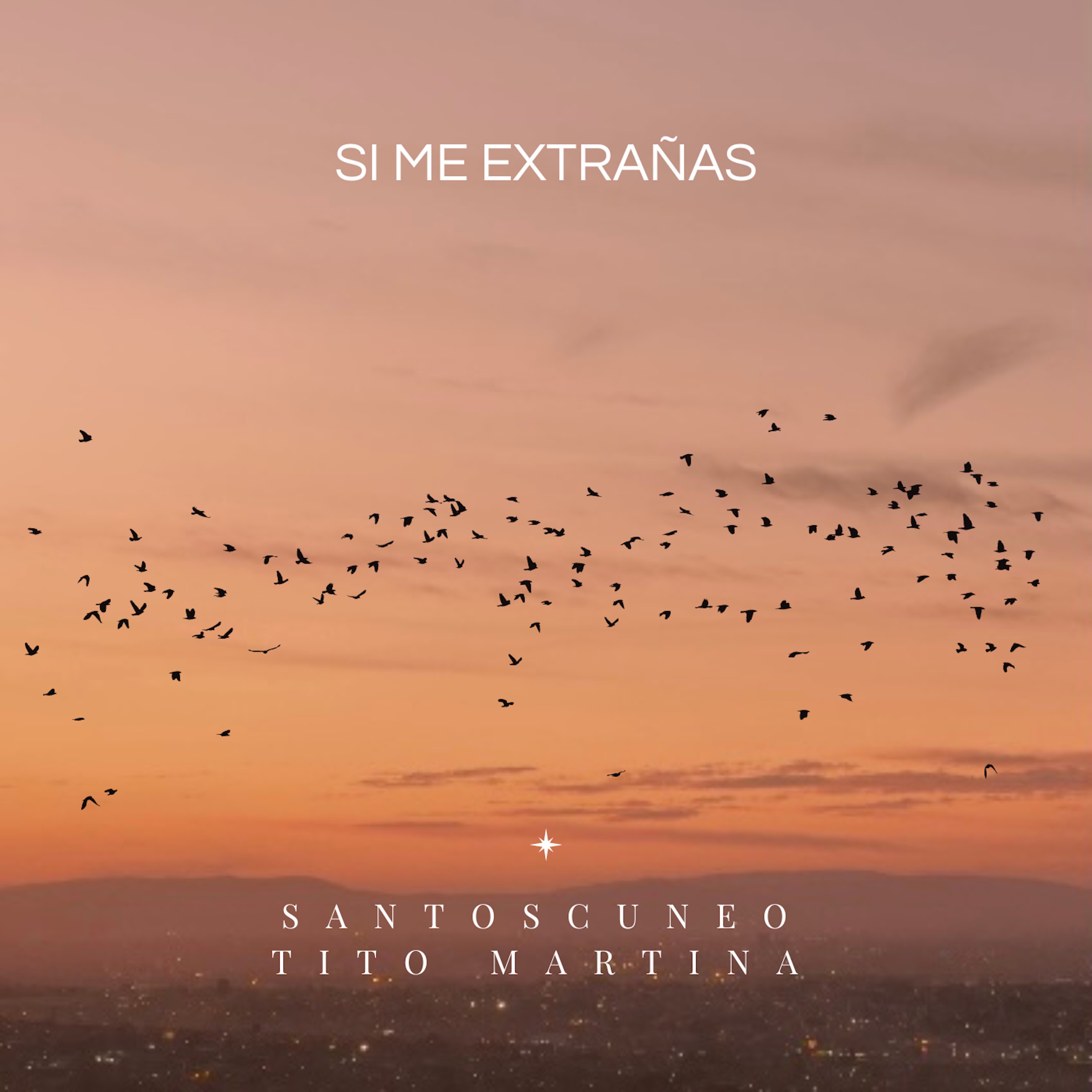 Si Me Extrañas (feat. Tito Martina) - Single