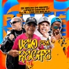 Veio pro Recife (feat. tiso do bololo) - Single