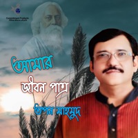Amar Jibon Pattro - Single - Tapan Mahmud
