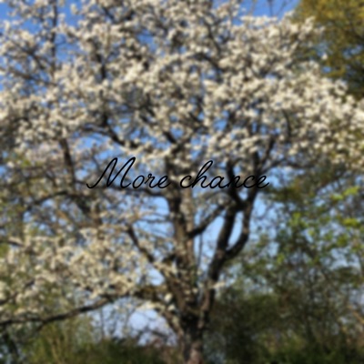 More chance - Single