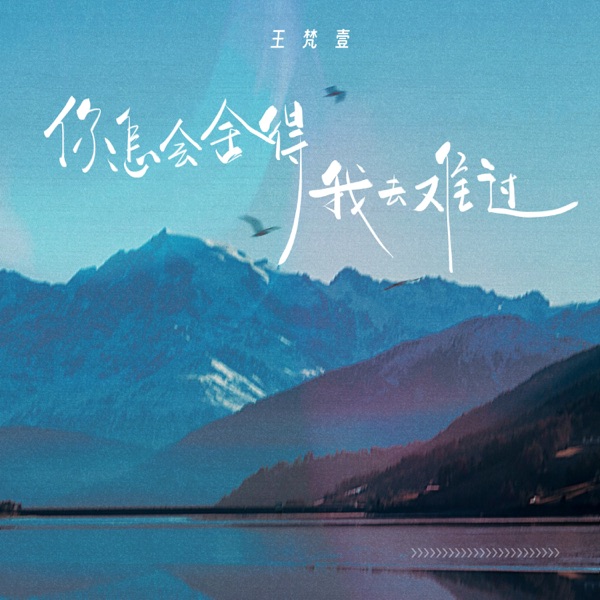 你怎会舍得我去难过 - Single