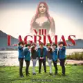 Mil Lagrimas