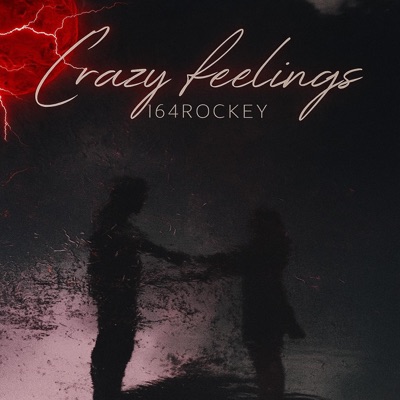 Crazy Feelings - Single