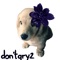 don't qry 2 - dog in the evening lyrics