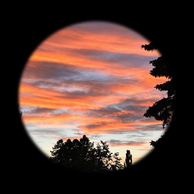 one you want - Single