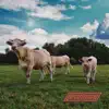 Hills