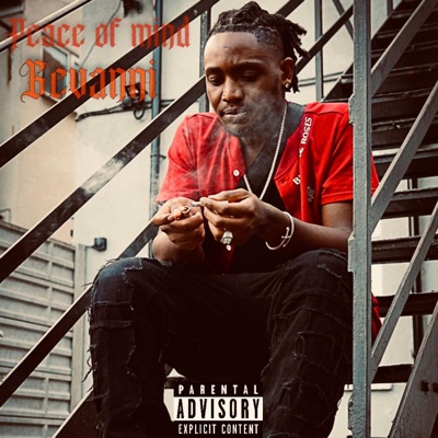 Peace of mind - Single