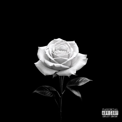 If Only We Tried - Single