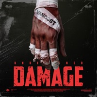 Undesigned Damage - Single - VAND3ST