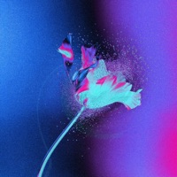 BY YOUR SIDE - Single - Phil Fasulo