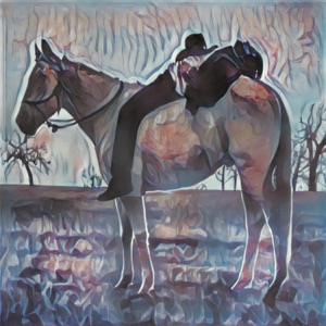 Saddle Tramp - Single