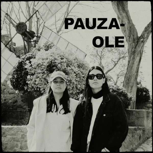 Ole by Pauza – Apple Music