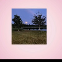 My fault - Single - W1kcollector