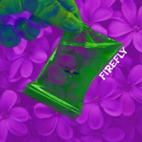FireFly (feat. zachleyyy & Yung Uber) - Single - Demflacco