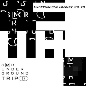 Fucking Acid Tracks (Alex ll Martinenko & Tilia Remix)