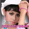 Cinta Satu Malam