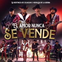 El Amor Nunca Se Vende - Single - La Bertiniza De Culiacan & Novillos de la Sierra