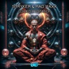 Guided Meditation cover art