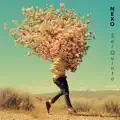 NEXO