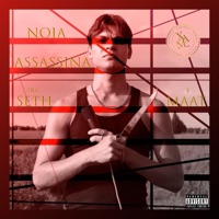 NOIA ASSASSINA: tra Seth e Maat - FDP