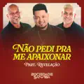 NAO PEDI PRA ME APAIXONAR