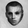 Mir