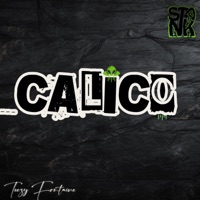 CALICO - Single - Teezy Fontaine