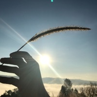 เพลงอินเลิฟแต่คนบ่อได้อินเลิฟ - Single - โรแมนเซอร์