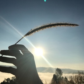 เพลงอินเลิฟแต่คนบ่อได้อินเลิฟ โรแมนเซอร์