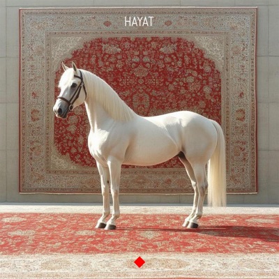 Hayat