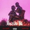 Iluzia Ta - Single