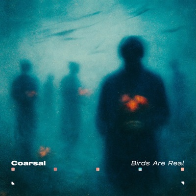 Birds Are Real - EP